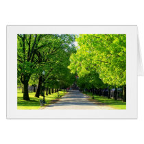 Boston Common in Spring cards