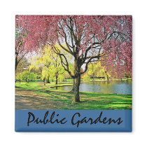 Boston Common Magnet
