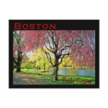 Boston Common Postcard - Customized
