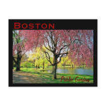 Boston Common Postcard - Customized