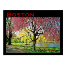 Boston Common Postcard - Customized