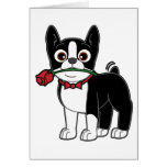 Boston Gentleman with Rose Cards