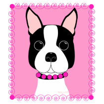 Boston Girl Tshirts