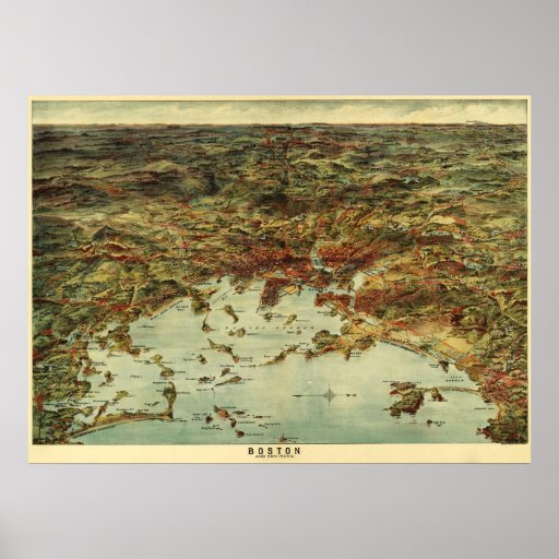 Boston Harbor Birdseye Print