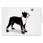 Boston in Winter Booties Card