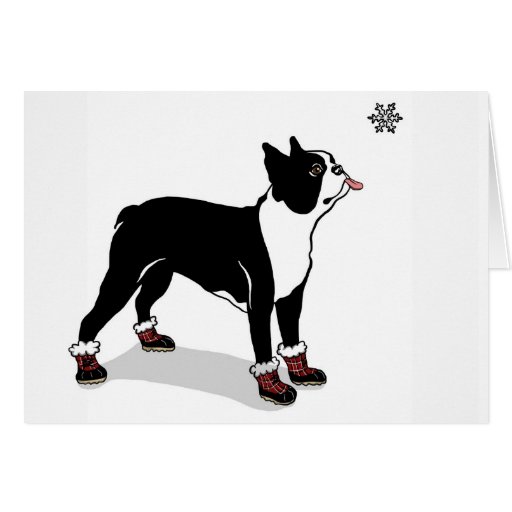 Boston in Winter Booties Card