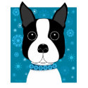 Boston in Winter t-shirts