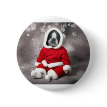 BOSTON IN XMAS OUTFIT buttons