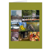 Boston, MA Photo Collage by Celeste Sheffey cards
