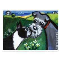 boston meets schnauzer post card