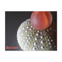 Boston ~ Post Card postcards by seafinddesigns Boston ~ Post Card postcards