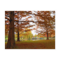 Boston Post Card