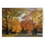 Boston Public Garden in Autumn Greeting Card