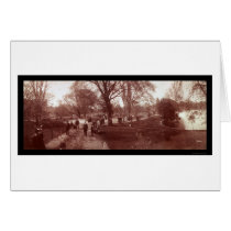 Boston Public Garden Photo 1904 cards