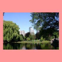 Boston Public Garden posters