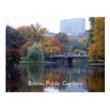 Boston Public Gardens Postcard