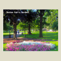 Boston Public Gardens Postcards postcards