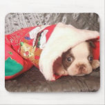 Boston Pup in Christmas Stocking mousepads