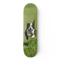 Boston Running Skateboard by foothillsmkt Boston Running Skateboard