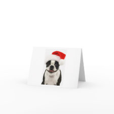 Boston Santa Note Card card