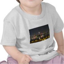 Boston skyline t shirts