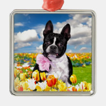 Boston Spring Time Christmas Ornaments