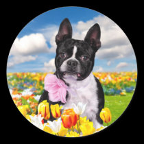 Boston Spring Time stickers