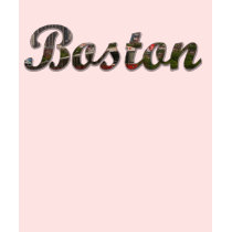 Boston Tee (Script) t-shirts
