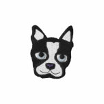 Boston Terrier