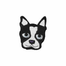 Boston Terrier