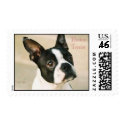 boston terrier 0239 boston terrier postage p172291873903518623anr9r 125 More Boston and Boxer Art presented by Zazzle