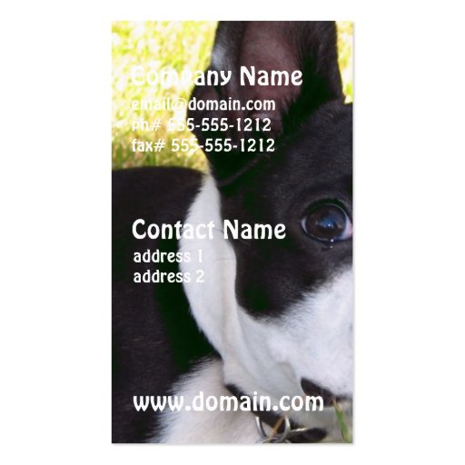 boston-terrier-1 business cards (front side)