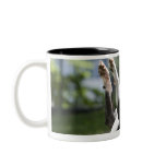 Boston Terrier 2 Mug