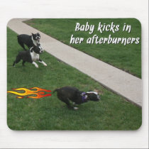 Boston Terrier:  Afterburners engaged! mousepads