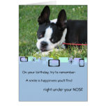 Boston Terrier All Occasion Greeting Card