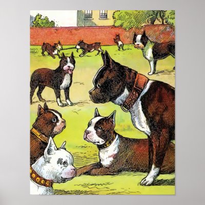 Boston Terrier and Puppies Vintage Illustration Print