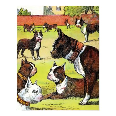 Boston Terrier and Puppies Vintage Illustration Print