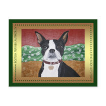 Boston Terrier Authority Postcard