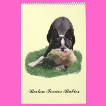 Boston Terrier Babies calendars