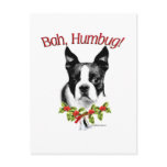 Boston Terrier Bah Humbug Postcard