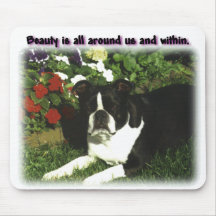 Boston Terrier:  Beauty All Around Mouse Pads