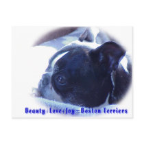Boston Terrier: Beauty, Love, Joy postcards by wigglebutthut Boston Terrier: Beauty, Love, Joy postcards
