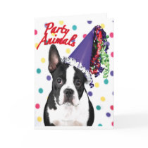 Boston Terrier Birthday Card