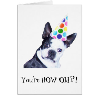 Boston Terrier Birthday Cards | Zazzle
