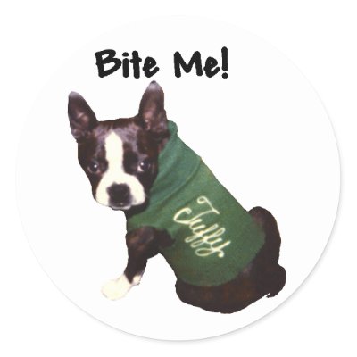 boston_terrier_bite_me_sticker-p217404002012520719qjcl_400.jpg