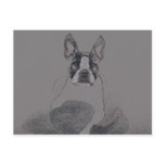 Boston Terrier Blanket Boston Terrier Blanket