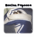 Boston Terrier:  Boston Papoose t-shirts