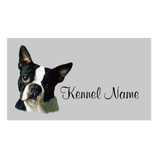 Boston Terrier Breeder Business Card