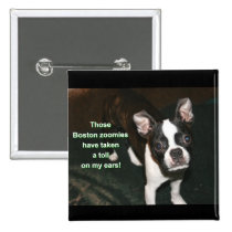 Boston Terrier: btzoomies buttons