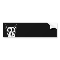 Boston Terrier Bumper Sticker bumper stickers